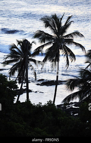 Silhouette della spiaggia coquerios Boldro Foto Stock