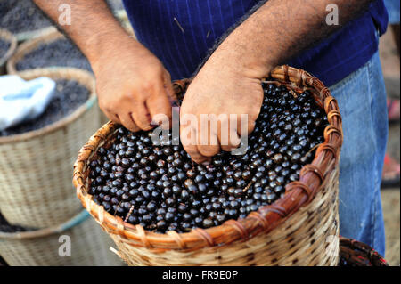 Fair Acai in Ver-o-Peso Foto Stock