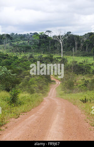 Transamazon BR-230 Autostrada attraverso la foresta Foto Stock