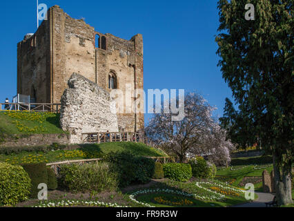 Guildford Surrey, Inghilterra .Castello di Guildford tenere in primavera Foto Stock