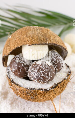 Cocco fresco e fatti in casa i cookie di cocco sulla parte superiore della noce di cocco con messa a terra Foto Stock