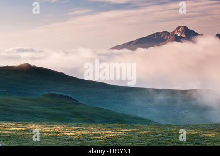 La luce del mattino cade su un prato alpino e la nebbia con lungo il picco in background nel Parco Nazionale delle Montagne Rocciose Foto Stock