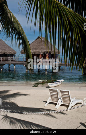 Isola di Moorea, Polinesia francese, ombreggiata Palm e palm bungalow con tetto in paglia su una spiaggia di sabbia, Polinesia Francese Foto Stock