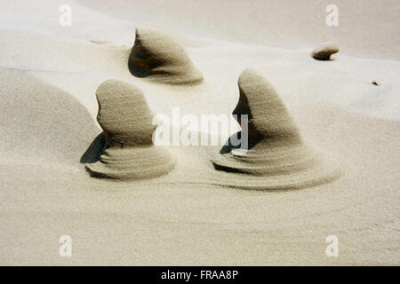 Sculture naturali create dall'azione del vento sulle dune di sabbia del comune di Tavares - RS Foto Stock