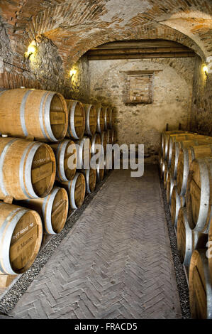 Il Mosnel cantina nella regione Lombardia - Italia settentrionale Foto Stock