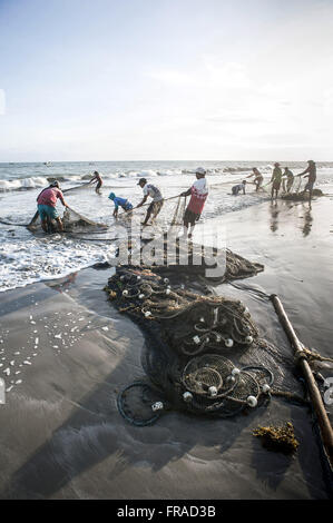 La pesca dei gamberetti e sardine con rete Foto Stock
