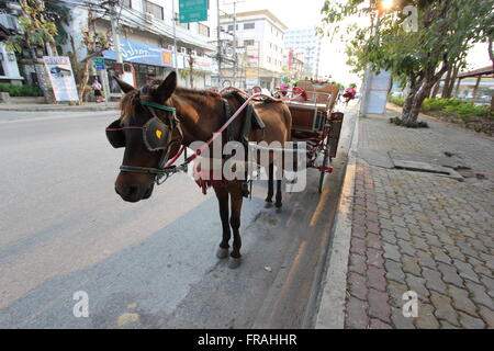 Un vecchio cavallo e carrello, Lampang, Thailandia Foto Stock