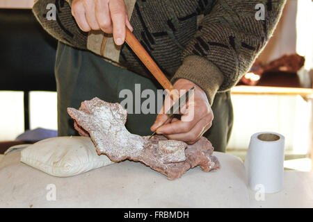 Paleontologo lavorando in un animale museo fossile nel Padre Daniel Cargnin Foto Stock