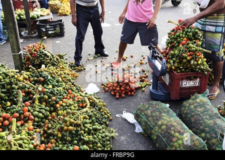 I grappoli di pupunha pesato in fiera Acai in Ver-O-Peso Foto Stock