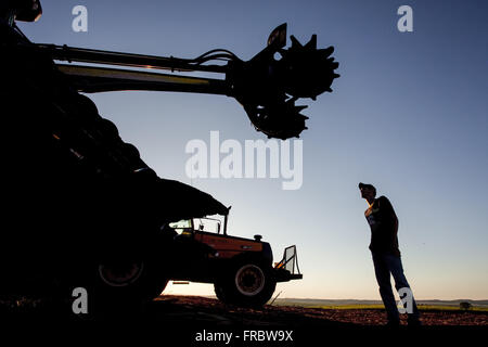 Harvester e lavoratori rurali in piantagione di zucchero di canna in campagna Foto Stock