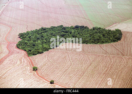 Legale e riserva di mais area di recente piantato nei dintorni Foto Stock