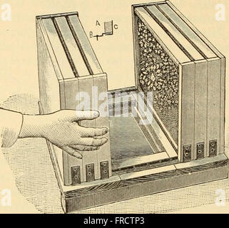 Il miele delle api- un manuale di istruzione in apicoltura (1899)
