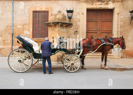 Europa, Isole Baleari Spagna, Mallorca, Palma de Mallorca. La Seu, Cattedrale di Mallorca. Una carrozza a cavalli. Foto Stock