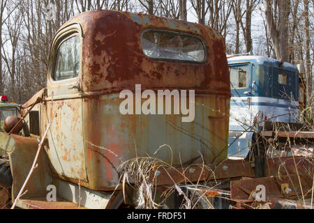 Le cabine di antichi semi rimorchio camion nel bosco invaso dalle erbacce. Foto Stock