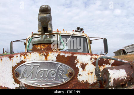 La Columbia, VA, Stati Uniti d'America - 12 Marzo 2016: chiusura del cofano bulldog ornamento e grill sul vecchio Mack carrello ruggine in campo. Foto Stock