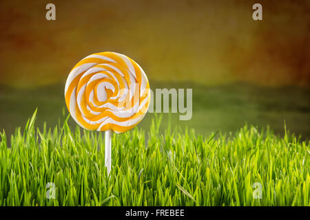 Spirale lollipop in erba verde Foto Stock