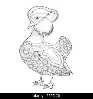 Graziosa Anatra di mandarino pagina di colorazione in stile squisito Illustrazione Vettoriale