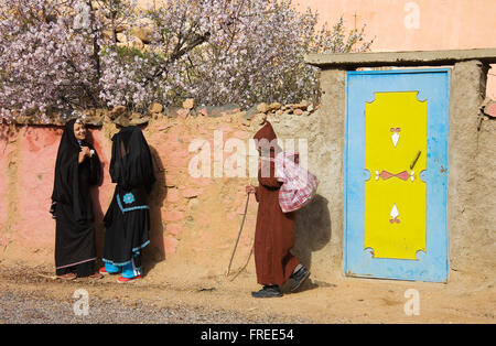 La chat donne berbere davanti a una parete, Berber, uomo passando da, fioritura dei mandorli (Prunus dulcis) dietro, al villaggio Foto Stock