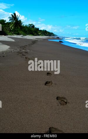 Percorrendo a piedi una spiaggia nel Parco Nazionale di Tortuguero in Costa Rica. Il tempo era caldo e il cielo era bello e la sabbia era morbido Foto Stock