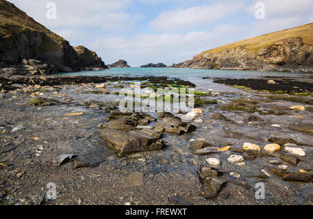 Porth Mear sulla North Cornish Coast Foto Stock