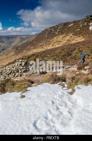 Maschio di walker per raggiungere a piedi la suoneria Roger su del The Pennine Way nel Peak District, Derbyshire, England, Regno Unito Foto Stock