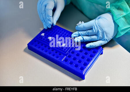 Dettaglio con medic mani lavorando con tubi medici in un laboratorio Foto Stock