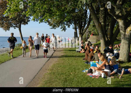 Gotland : isola dei Vichinghi. - 05/08/2007 - Europa - Passeggiata, basamento, pic-nic, farniente o tutti i divertimenti a seasi Foto Stock