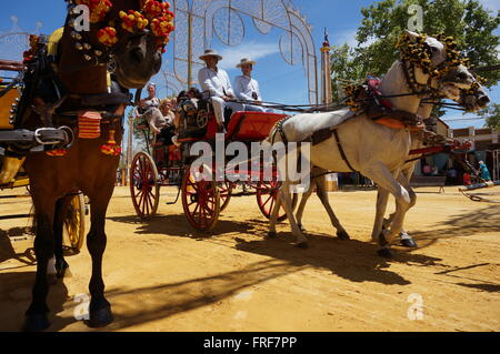 Andalusa di Arte Equestre durante la feria di Jerez de la Frontera.Arte della carrozza e dei carrelli tradizionali. - 11/05/2013 Foto Stock