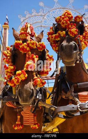 Andalusa di Arte Equestre durante la feria di Jerez de la Frontera.Arte della carrozza e dei carrelli tradizionali. - 11/05/2013 Foto Stock