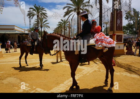 Andalusa di Arte Equestre durante la feria di Jerez de la Frontera. Mostra di dressage. - 11/05/2013 - Spagna / Andalusia / Foto Stock