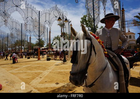 Andalusa di Arte Equestre durante la feria di Jerez de la Frontera. Mostra di dressage. - 11/05/2013 - Spagna / Andalusia / Foto Stock