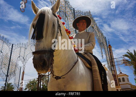 Andalusa di Arte Equestre durante la feria di Jerez de la Frontera. Mostra di dressage. - 11/05/2013 - Spagna / Andalusia / Foto Stock