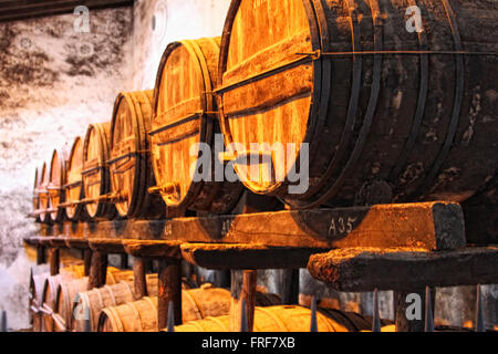 Andalucia,Spagna - 18/02/2012 - Spagna / Andalusia / Jerez de la Frontera - Tio Pepe Bodega,Jerez cantina - Sandrine Foto Stock