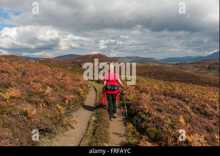 Camminare sull'isola scozzese di Ulva Foto Stock