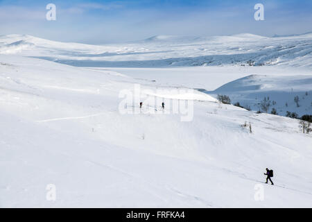 Sci alpinismo in Saltfjellet National Park, Norvegia Foto Stock