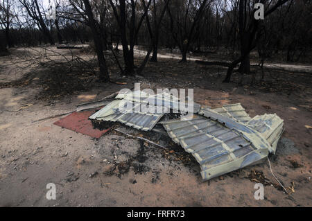 Preston Beach, a sud-ovest del Western Australia - 22 Marzo 2016 - Resti di un picnic shelter tra annerite tronchi d'albero. I primi segni di ricrescita dopo la devastante Gennaio 2016 bushfires stanno cominciando ad essere visto in alcuni dei nativi australiani di ecosistemi di foresta nella regione a seguito delle recenti piogge. Credito: Suzanne lunghe/Alamy Live News Foto Stock