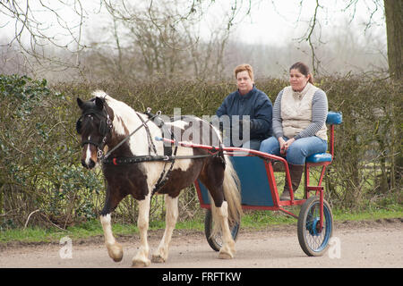 Leicestershire, Regno Unito. Xxii Marzo 2016. Due signore a cavallo nella loro formazione carrello trainato attraverso il Leicestershire campagna da un pony colorati durante un piacevolmente calda mattina nonostante il misty per iniziare la giornata Credito: Jim Harrison/Alamy Live News Foto Stock