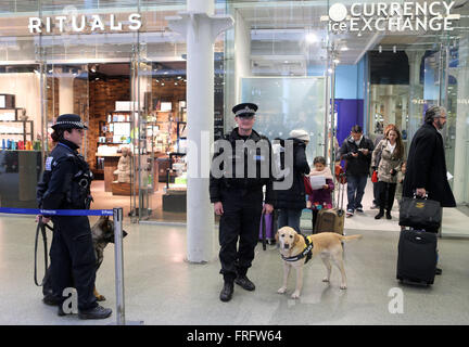 Londra, Regno Unito. 22 Mar, 2016. British funzionari di polizia pattuglia a King's Cross St Pancras International Station di Londra, Gran Bretagna il 22 marzo 2016, dopo le esplosioni di Bruxelles martedì mattina. Credito: Han Yan/Xinhua/Alamy Live News Foto Stock