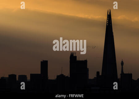 Londra, Regno Unito. Xxii marzo, 2016. Gli uccelli di migrazione volare nel caldo tramonto lightrays verso la costruzione di Shard Credito: Guy Corbishley/Alamy Live News Foto Stock