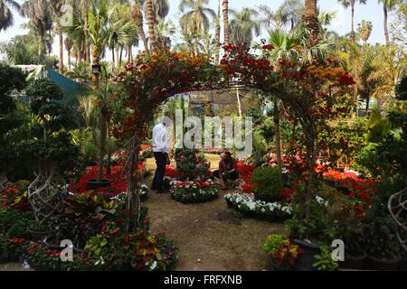 (160322) -- GIZA, Marzo 22, 2016 (Xinhua) -- i giardinieri di lavorare al fiore di primavera mostra tenutasi a Orman Giardino Botanico di Giza in Egitto il 22 marzo 2016. (Xinhua/Ahmed Gomaa) Foto Stock