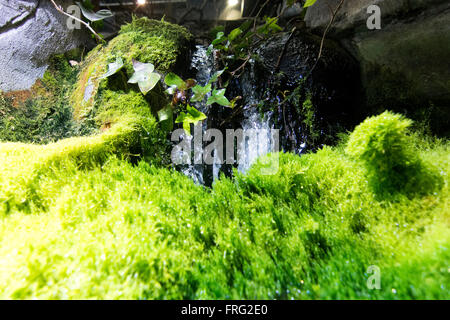 Gijon, Spagna. Xxii marzo, 2016. Una piccola cascata presso l'Aquarium di Gijon Giornata mondiale dell'acqua su Marzo 22, 2016 a Gijon, Spagna. Credito: David Gato/Alamy Live News Foto Stock