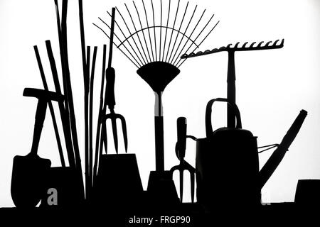 Utensili da giardinaggio in silhouette contro un potting shed finestra Foto Stock