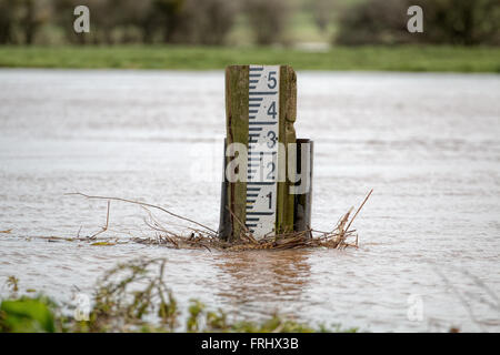 Il livello del fiume indicatore marcatore per la misurazione. Fiume alti livelli Foto Stock