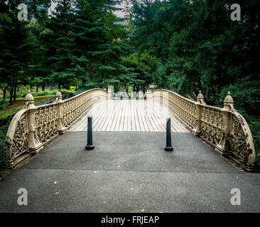 Banca di pino Arch cast-ponte in ferro, Central Park West Side a sessantaduesima Street. Stati Uniti d'America Foto Stock