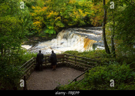 Piattaforma di visualizzazione al centro cade, Aysgarth Falls, Wensleydale, Yorkshire Dales National Park, England, Regno Unito Foto Stock