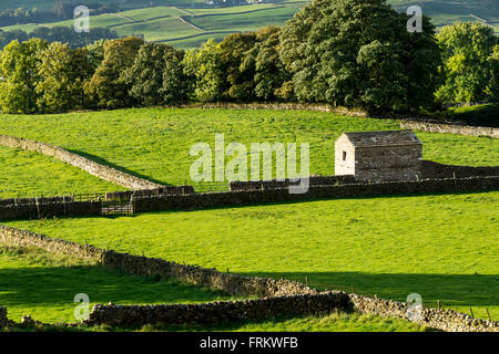 Stalattite pareti e una pietra costruito il granaio, vicino Askrigg, Wensleydale, Yorkshire Dales, England, Regno Unito Foto Stock