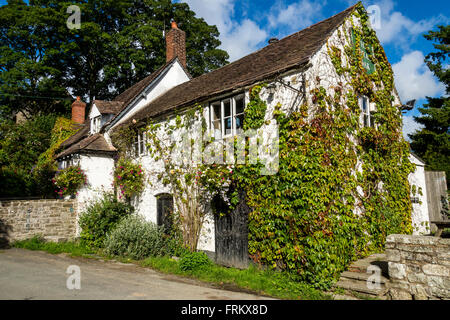 Il Royal Oak Inn (circa del XV secolo) nel villaggio di Cardington, vicino a Church Stretton, Shropshire, Inghilterra, Regno Unito Foto Stock