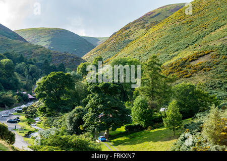 La cardatura Mill Valley, sulla lunga cresta Mynd, vicino a Church Stretton, Shropshire, Inghilterra, Regno Unito Foto Stock