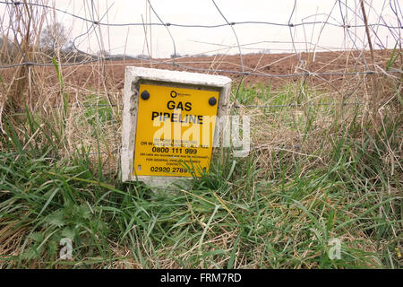 Gasdotto marker posti accanto a un paese Lane South Gloucestershire. Marzo 2016 Foto Stock