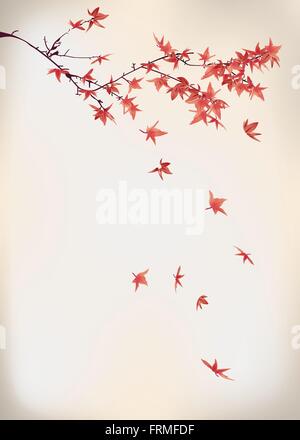 foglie di acero Illustrazione Vettoriale